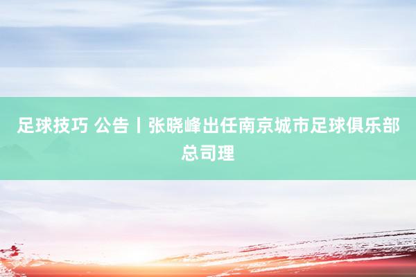 足球技巧 公告丨张晓峰出任南京城市足球俱乐部总司理