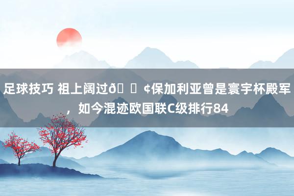 足球技巧 祖上阔过😢保加利亚曾是寰宇杯殿军，如今混迹欧国联C级排行84