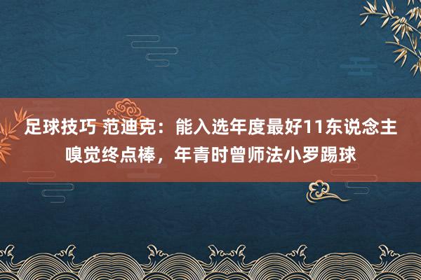 足球技巧 范迪克：能入选年度最好11东说念主嗅觉终点棒，年青时曾师法小罗踢球