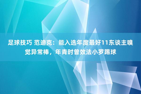 足球技巧 范迪克：能入选年度最好11东谈主嗅觉异常棒，年青时曾效法小罗踢球