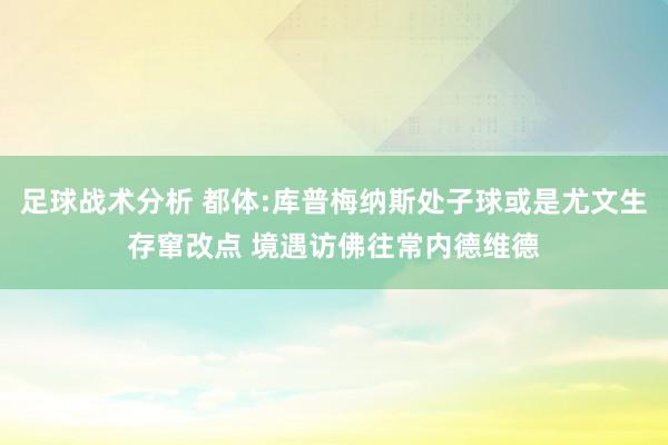 足球战术分析 都体:库普梅纳斯处子球或是尤文生存窜改点 境遇访佛往常内德维德