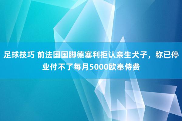 足球技巧 前法国国脚德塞利拒认亲生犬子，称已停业付不了每月5000欧奉侍费