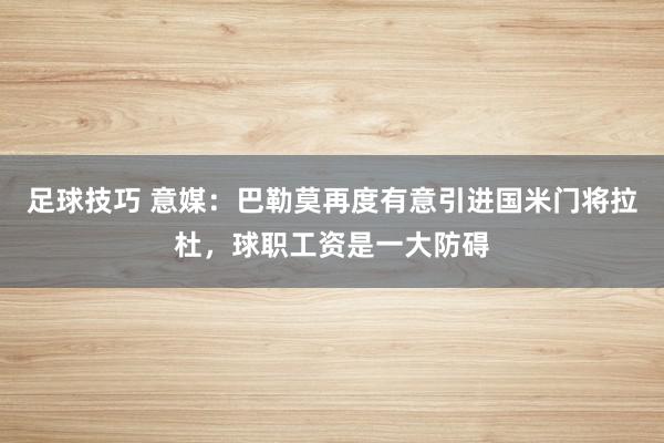 足球技巧 意媒：巴勒莫再度有意引进国米门将拉杜，球职工资是一大防碍